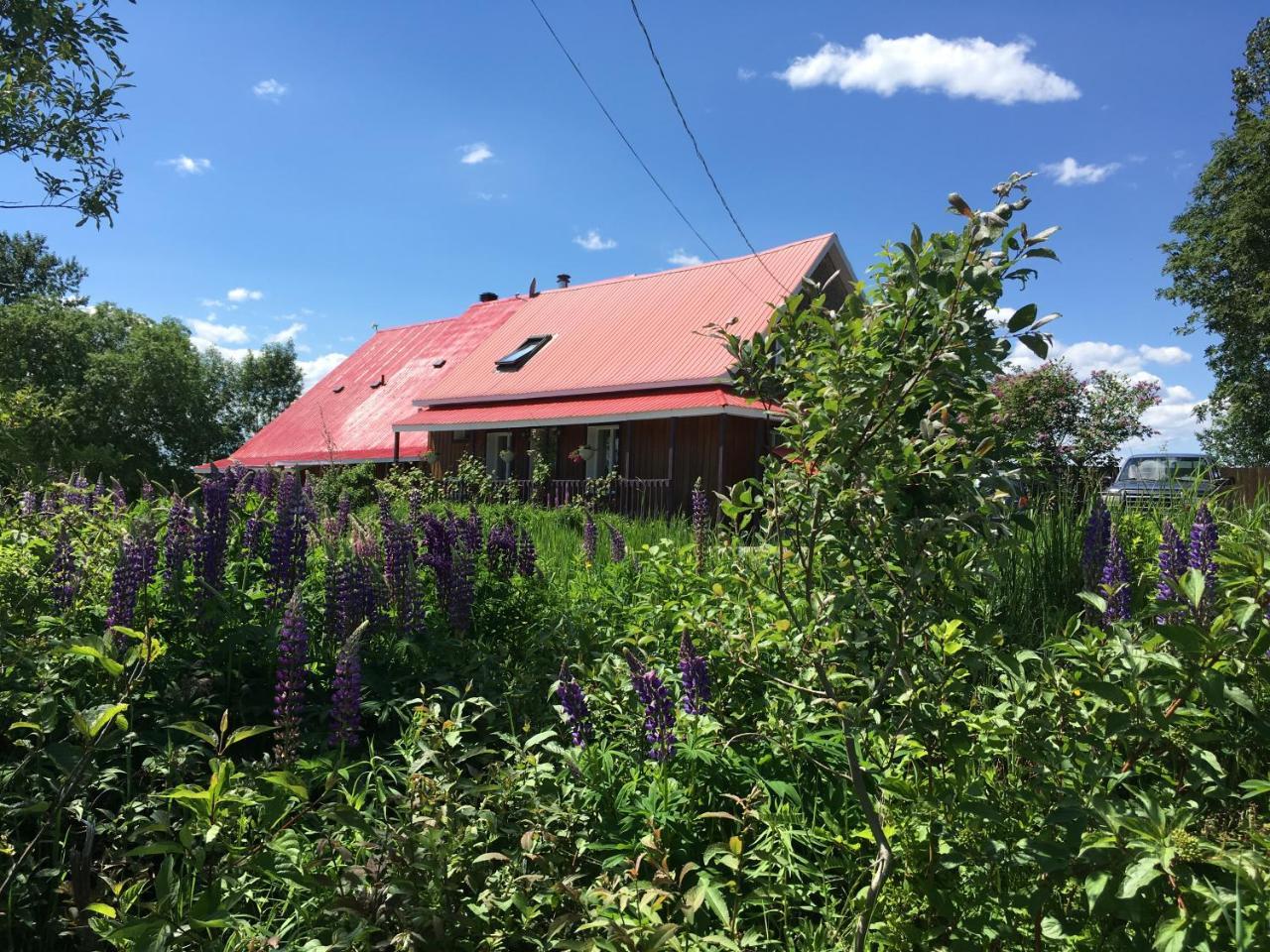 Hotel L'Aubergine Saint Hilarion Exterior foto